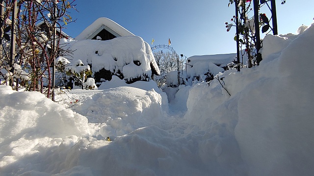 2023-12-03 Kleingarten